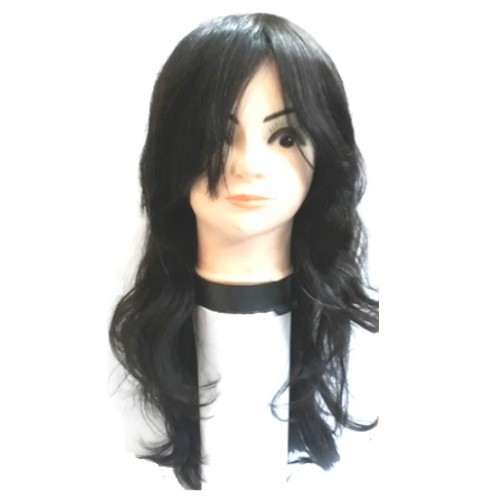 Women human hair Wigs in Delhi